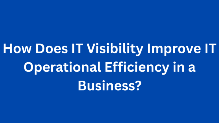 How Does IT Visibility Improve IT Operational Efficiency in a Business?